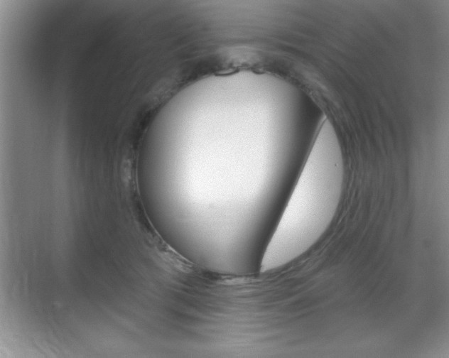 X0000070360417200606090805