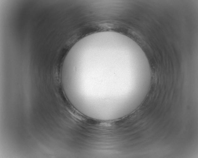 X0000070360418200606090805