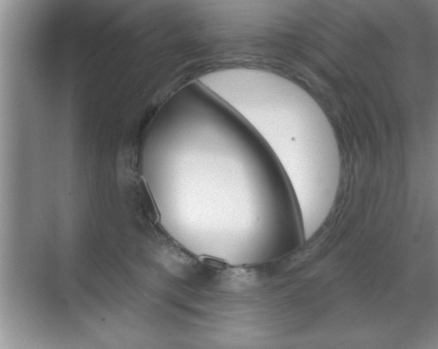 X0000070360421200606090805