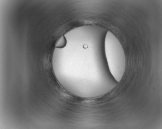 X0000070360422200606090805