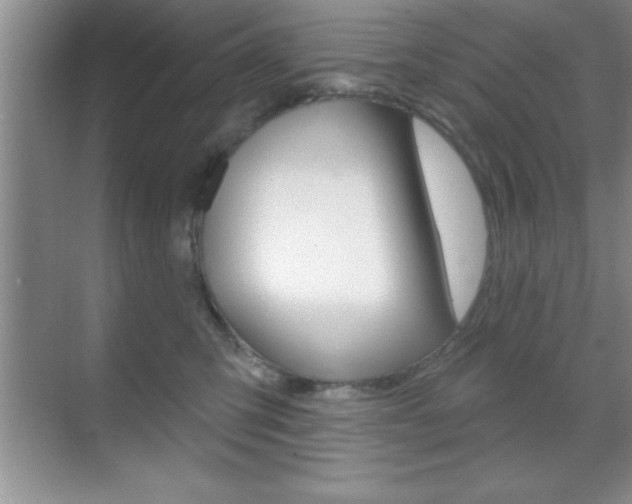 X0000070360423200606090805