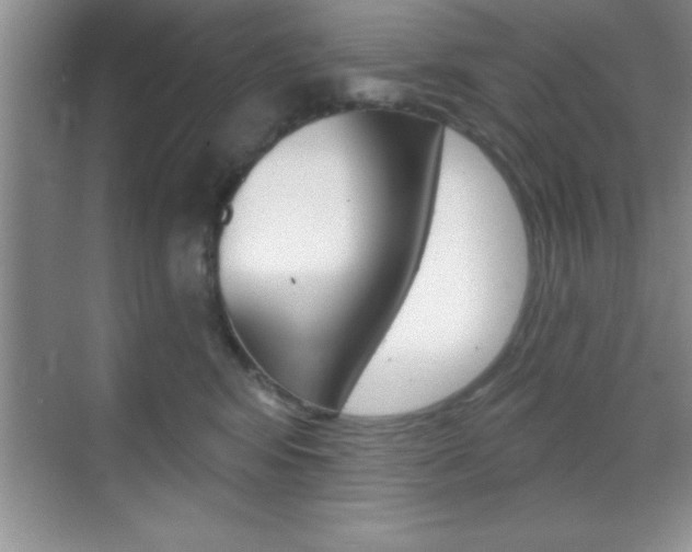 X0000070360424200606090805