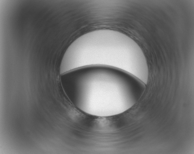 X0000070360425200606090805