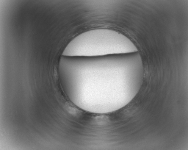 X0000070360426200606090805