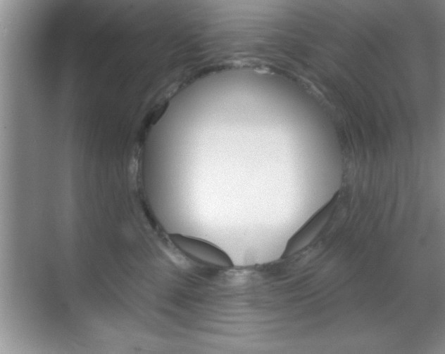 X0000070360427200606090805