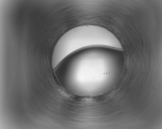 X0000070360428200606090805