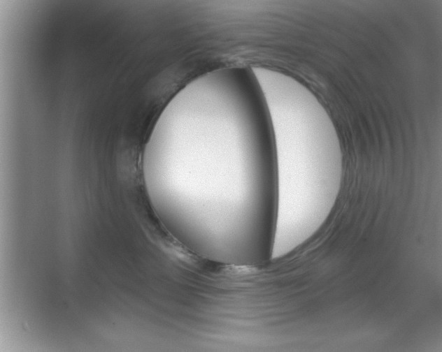 X0000070360429200606090805