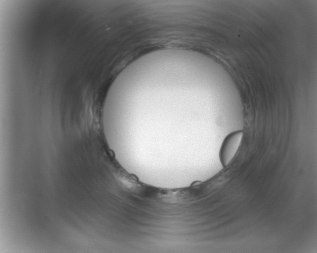 X0000070360430200606090805