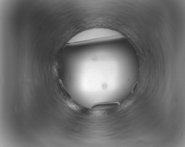 X0000070360432200606090804