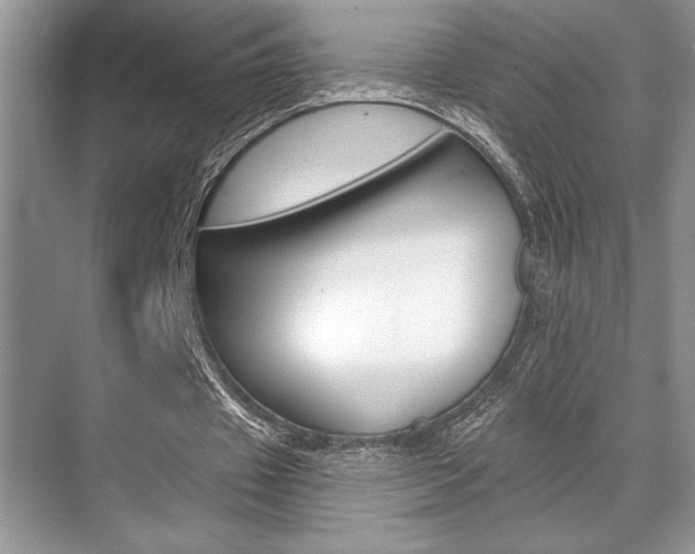 X0000070360433200606090804