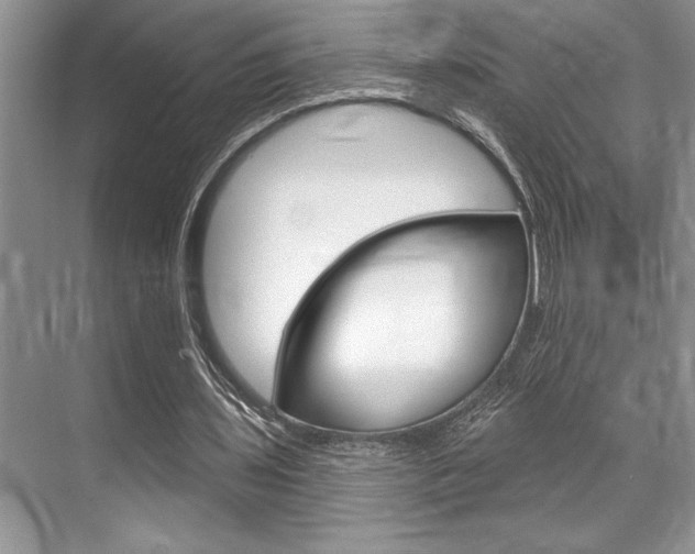 X0000070360435200606090804