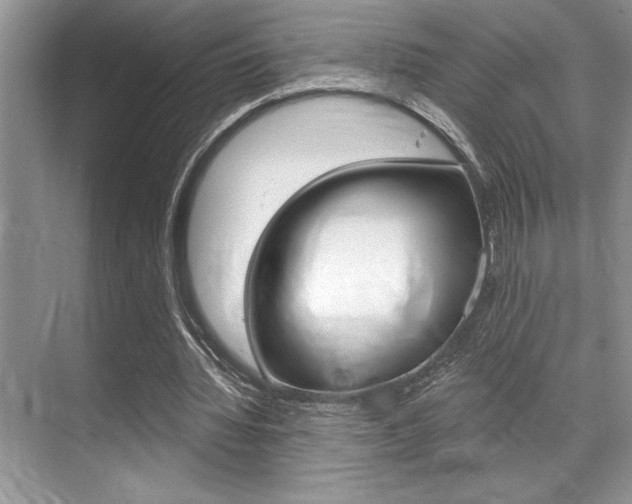 X0000070360436200606090804