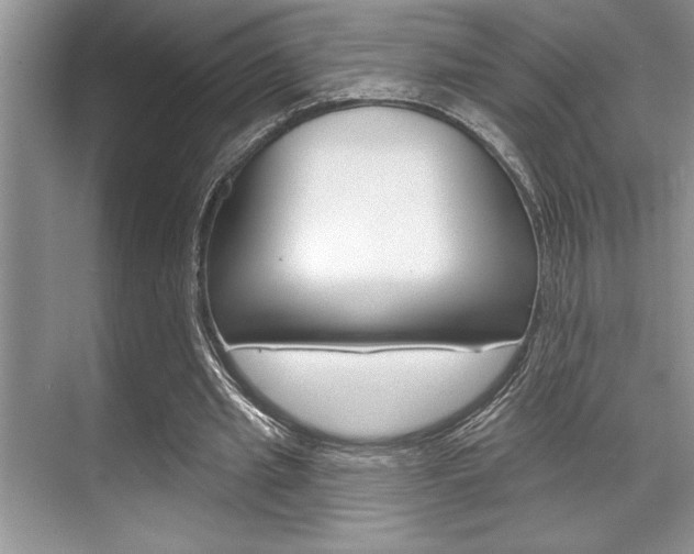 X0000070360437200606090804