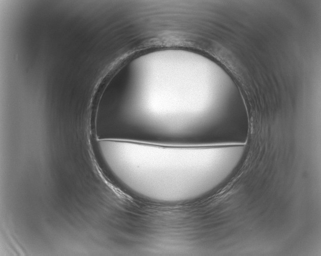 X0000070360438200606090804