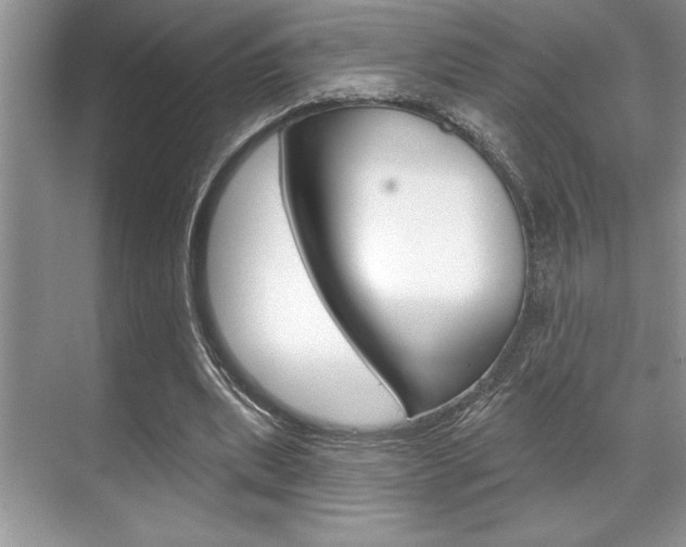 X0000070360439200606090804