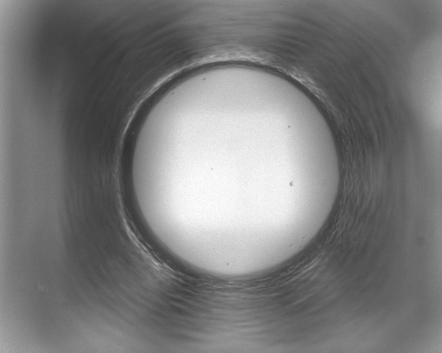 X0000070360440200606090804