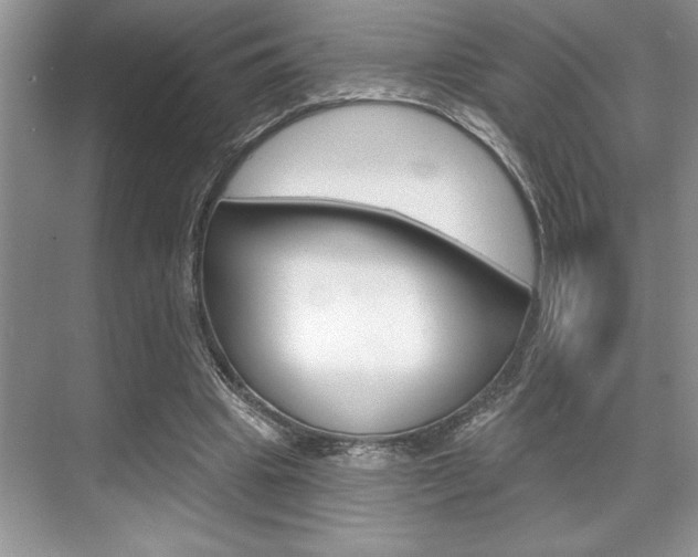 X0000070360441200606090804