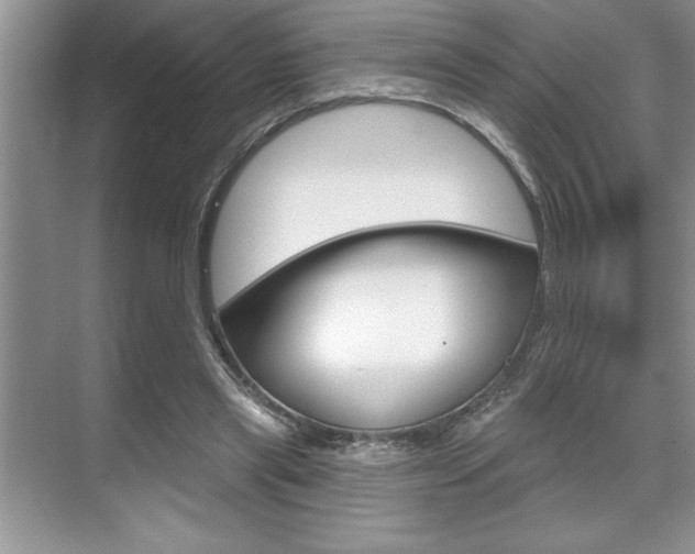 X0000070360445200606090804