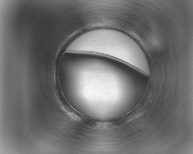 X0000070360446200606090804