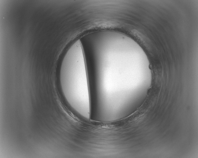 X0000070360447200606090804