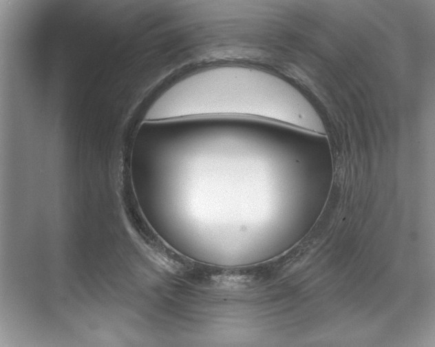 X0000070360448200606090804