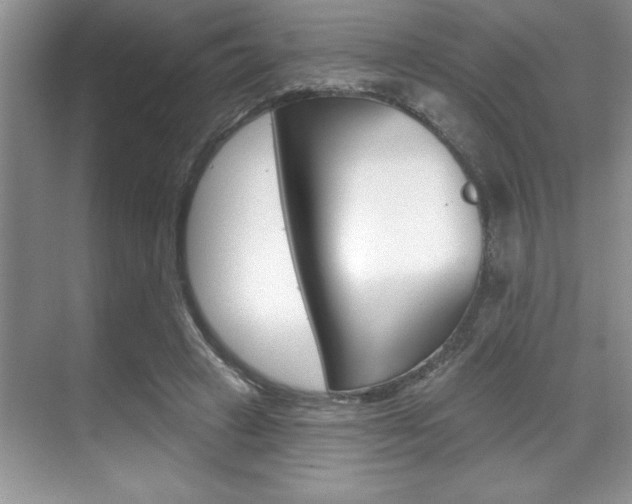 X0000070360449200606090804