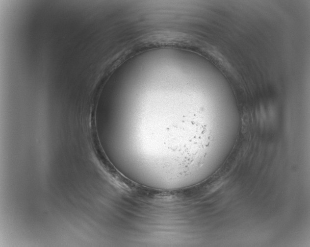 X0000070360454200606090804