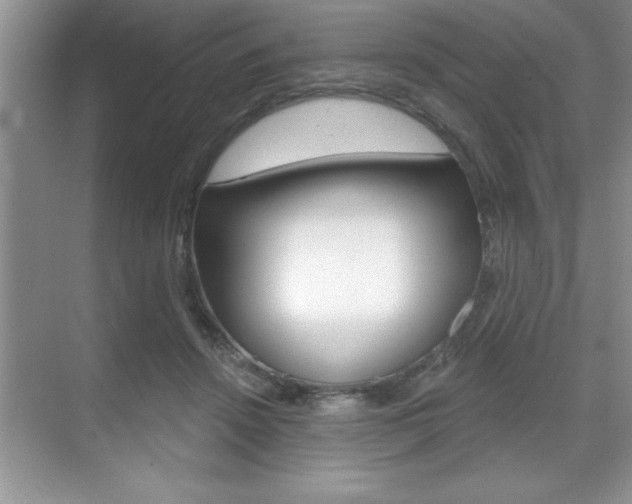 X0000070360456200606090804