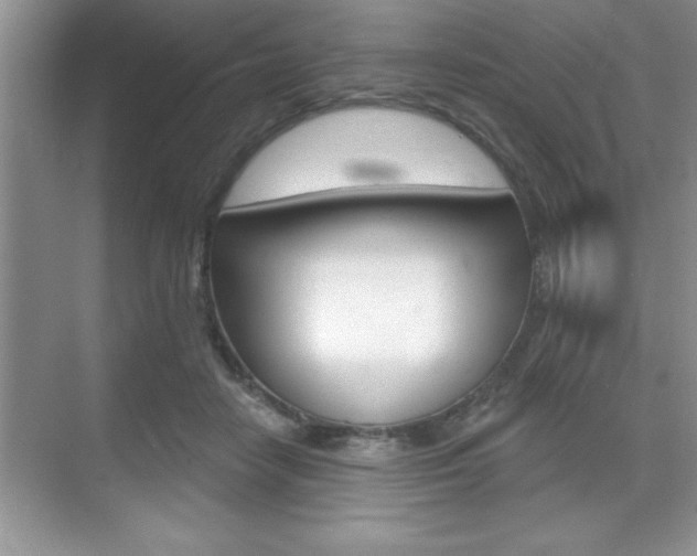 X0000070360458200606090804