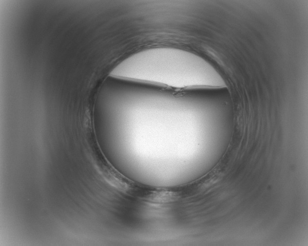 X0000070360459200606090804