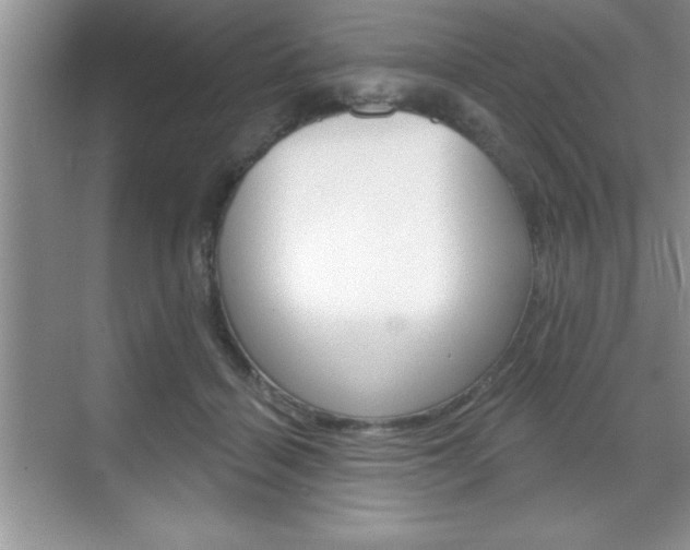 X0000070360460200606090804