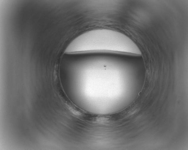 X0000070360462200606090804