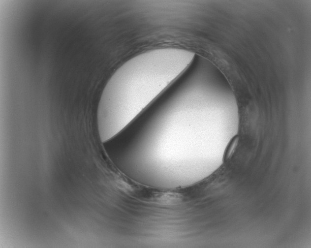 X0000070360463200606090804
