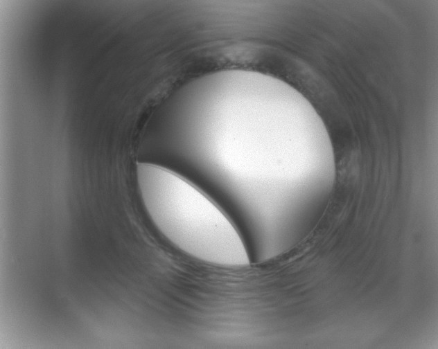 X0000070360464200606090804