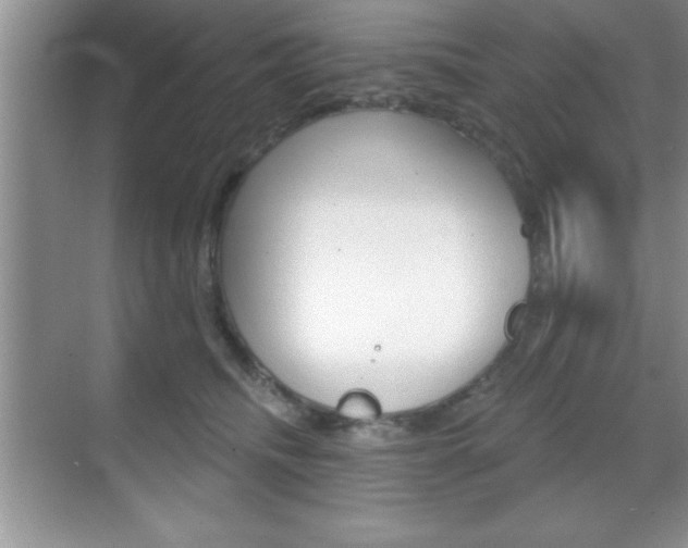 X0000070360468200606090804