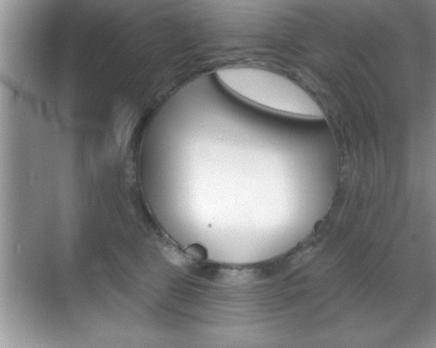 X0000070360469200606090804