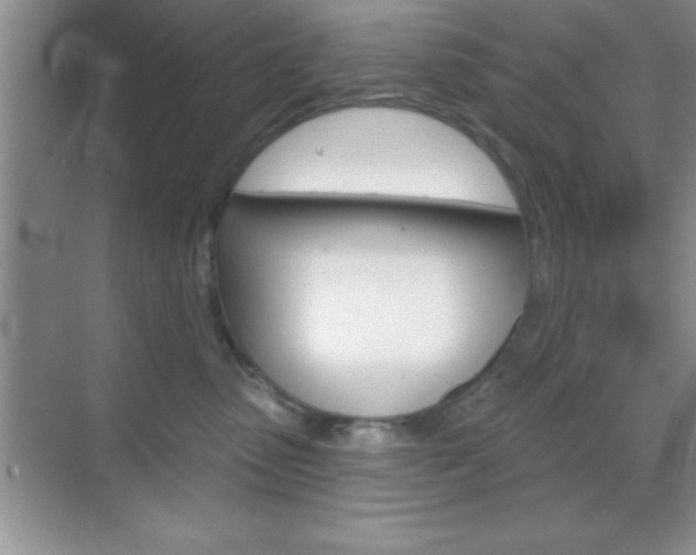 X0000070360475200606090804