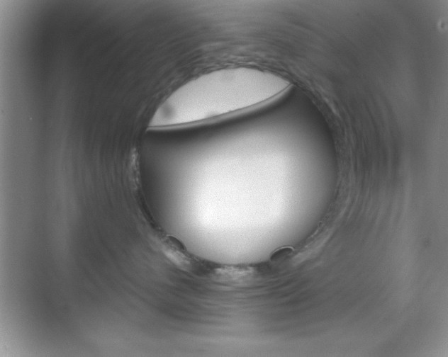 X0000070360480200606090804