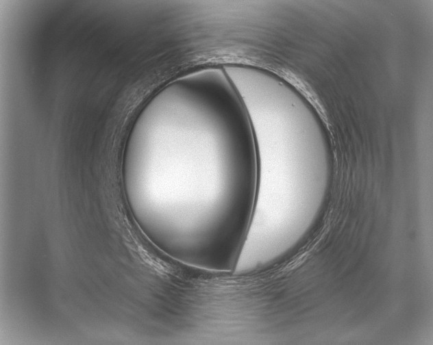 X0000070360481200606090804