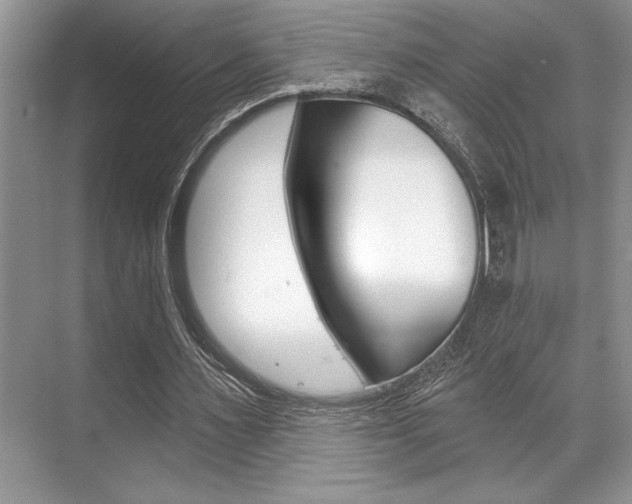 X0000070360483200606090804