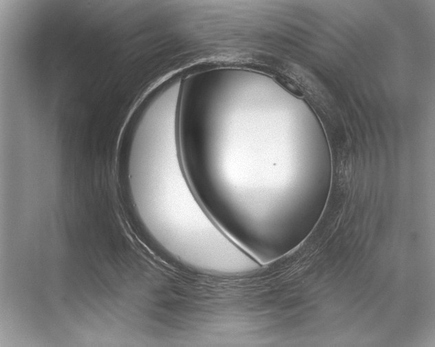 X0000070360484200606090804