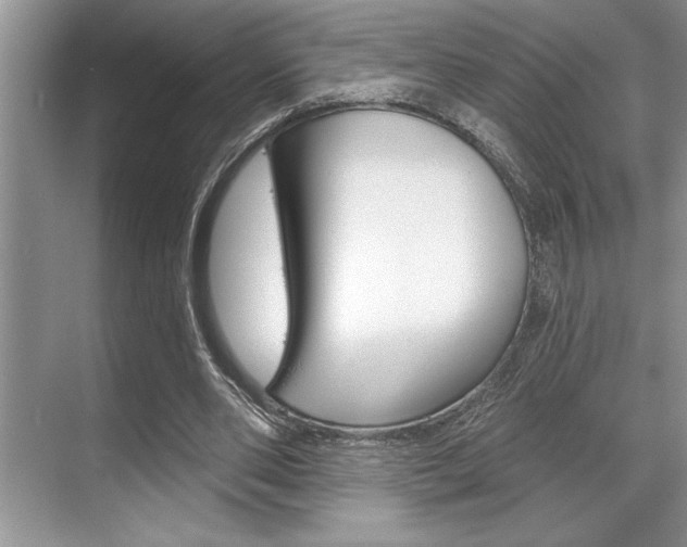 X0000070360486200606090804