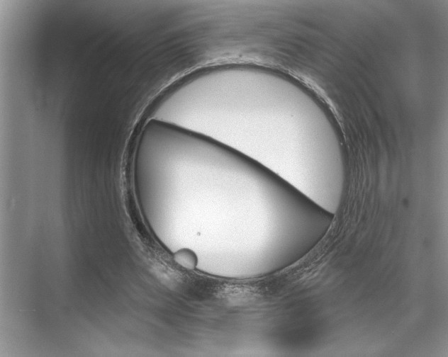 X0000070360487200606090804