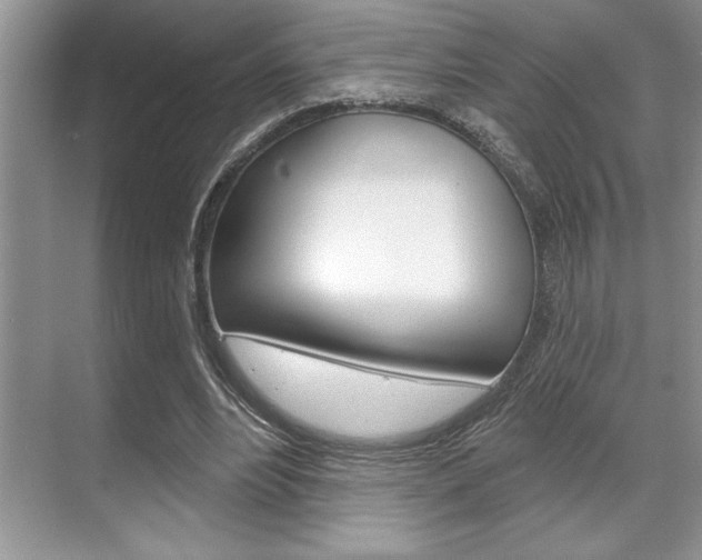 X0000070360488200606090804