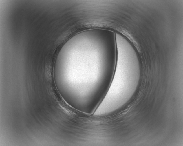 X0000070360489200606090804