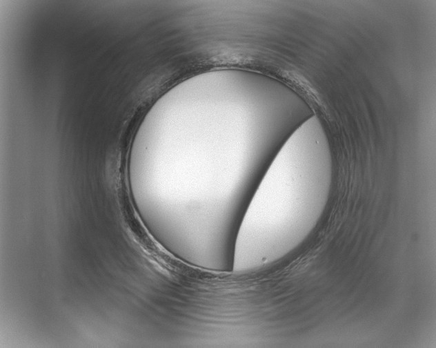 X0000070360490200606090803