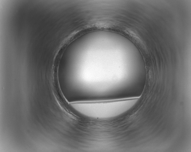 X0000070360492200606090803
