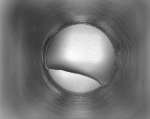 X0000070360494200606090803