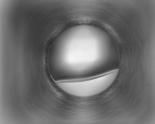 X0000070360501200606090803
