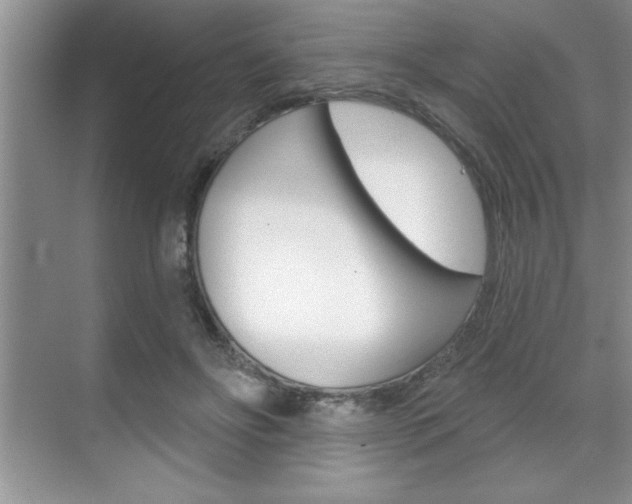 X0000070360502200606090803